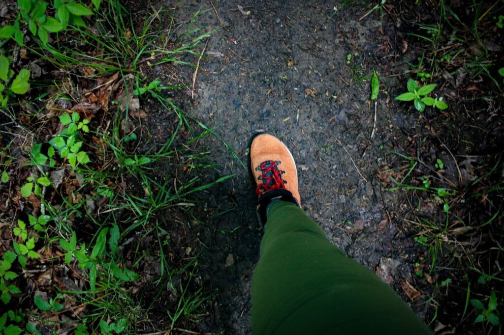 Walker in long grass where ticks that cause Lyme disease live